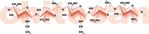 chitosan_logo