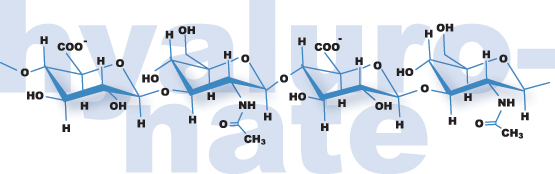 hyaluronate_logo