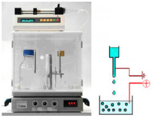 alginate_encapsulation_1